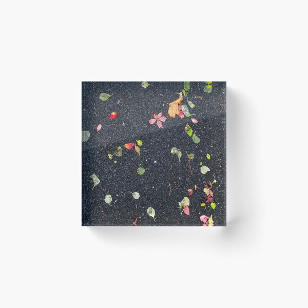 Item preview, Autumn Leafs on Asphalt designed and sold by Frank Parisi.