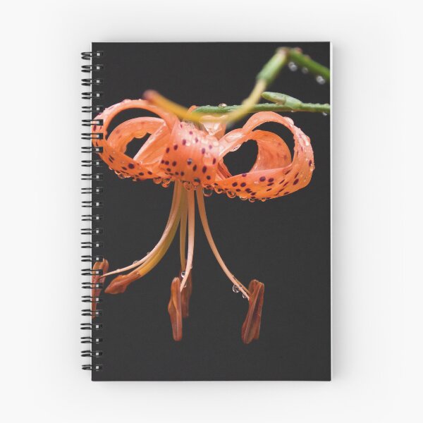 Item preview, Wet Orange Flower Leith Park Victoria 20180130 2212  designed and sold by Fred Mitchell.