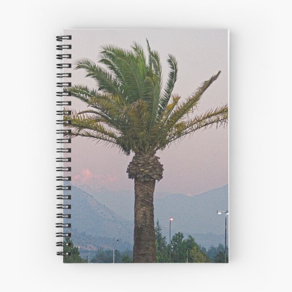 Item preview, Alk palm tree designed and sold by pcfyi.