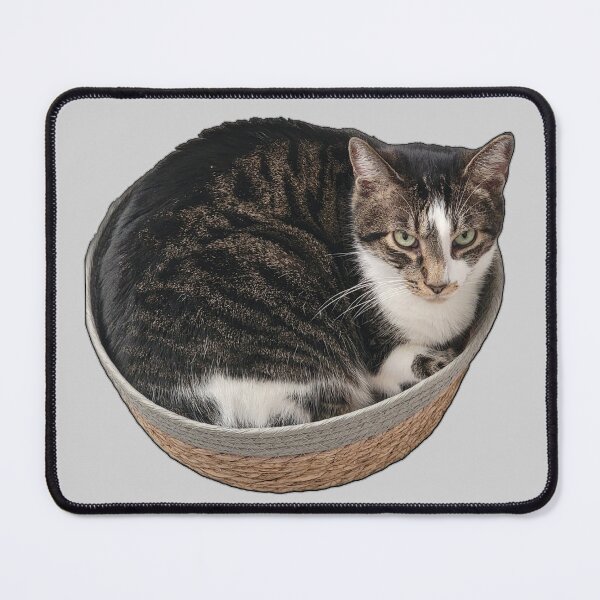 Item preview, Basket Cat designed and sold by HauntedOpera.