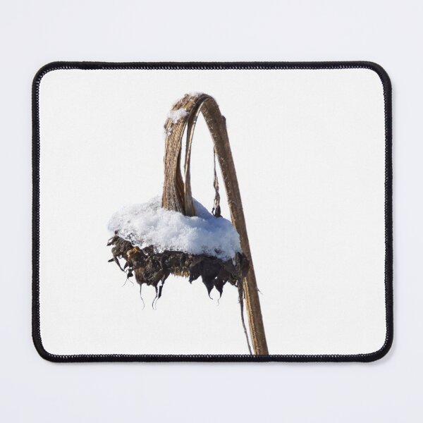 Item preview, So Last Season. Sunflower designed and sold by Jouko Lehto Photography.