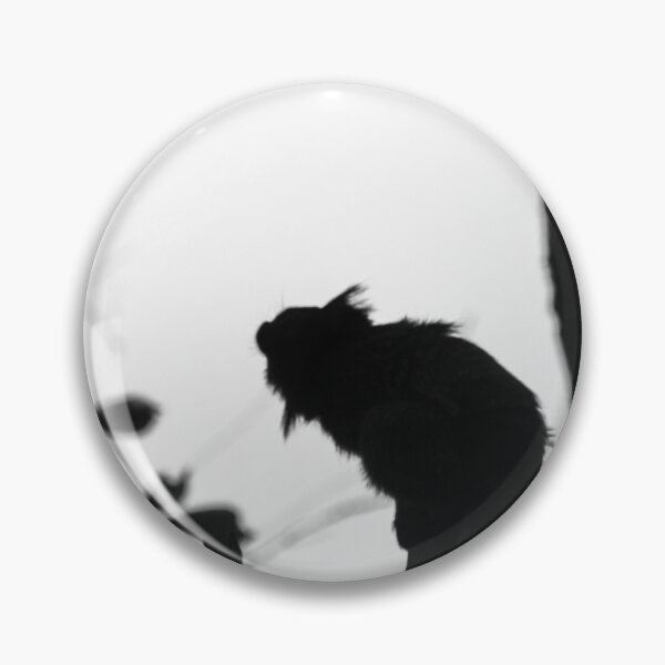 Item preview, marmoset on the fence. designed and sold by Nino rocha fotografia.