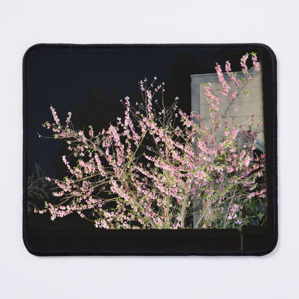 Item preview, cherry tree designed and sold by kddart.
