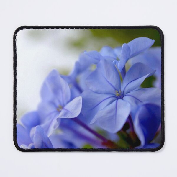 Item preview, Create beauty designed and sold by equilibrio.