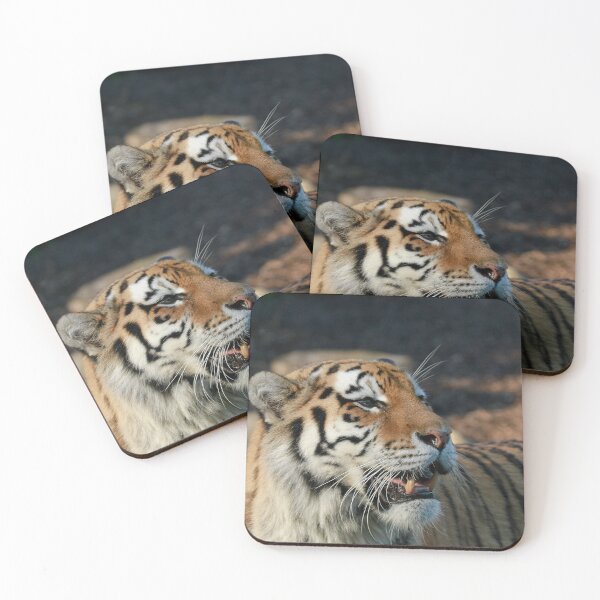 Item preview, Tiger tales  designed and sold by miradorpictures.