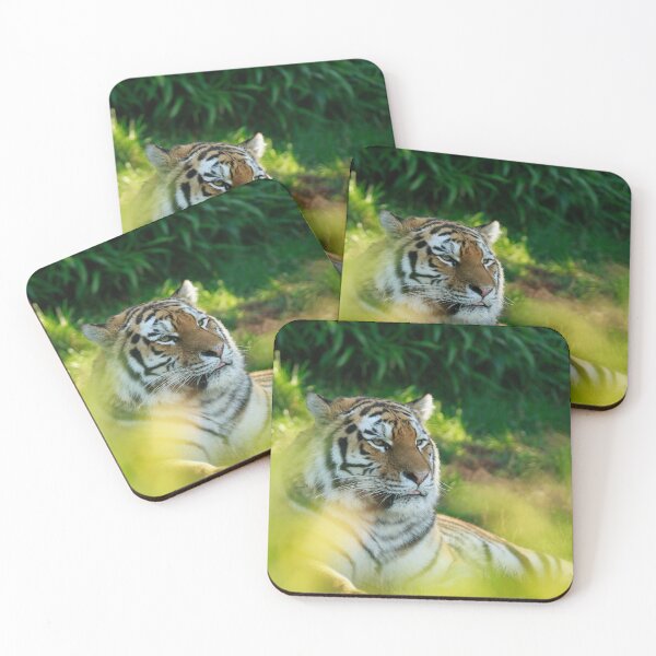 Item preview, Los tigres descansan designed and sold by miradorpictures.