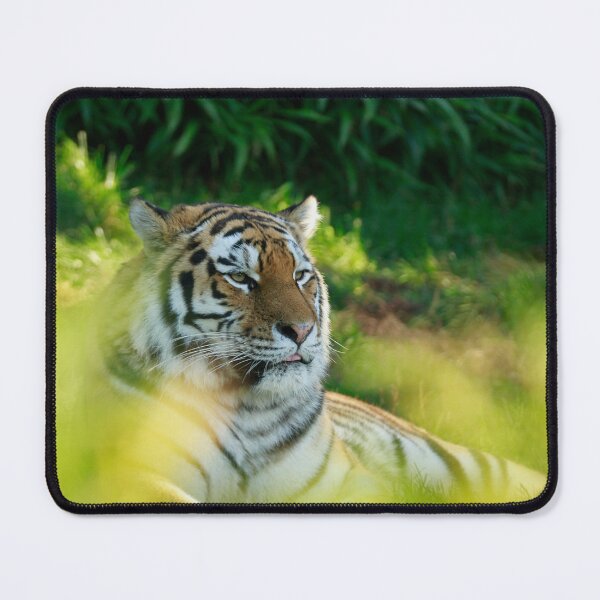 Item preview, Tigers rest designed and sold by miradorpictures.
