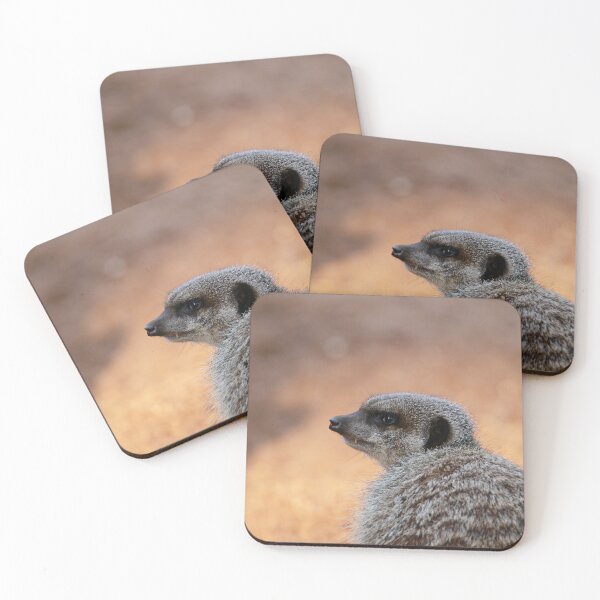 Item preview, Marvellous Meerkat designed and sold by miradorpictures.