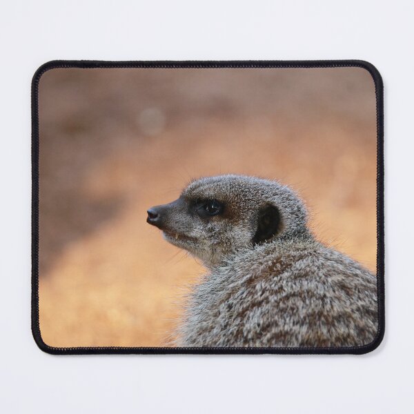 Item preview, Marvellous Meerkat designed and sold by miradorpictures.