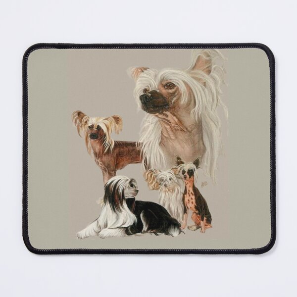 Item preview, Chinese Crested and Powderpuff Gallimaufry designed and sold by BarbBarcikKeith.