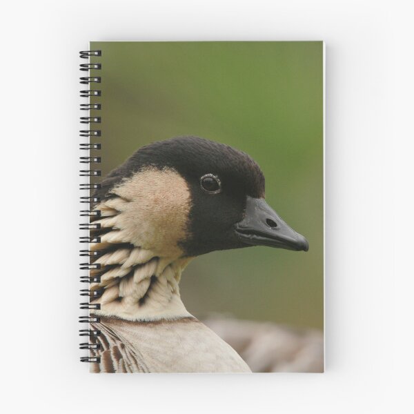 Item preview, Goosey gander designed and sold by miradorpictures.