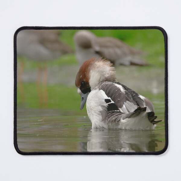 Item preview, Looking down  designed and sold by miradorpictures.
