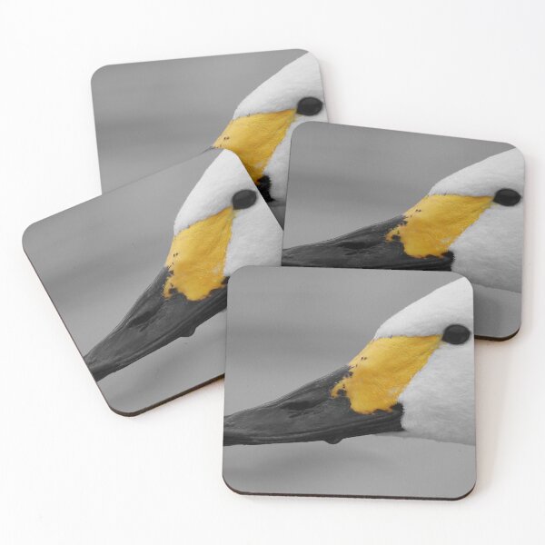 Item preview, Brilliant Bewick designed and sold by miradorpictures.