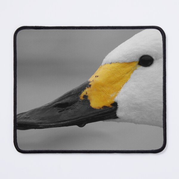 Item preview, Brilliant Bewick designed and sold by miradorpictures.