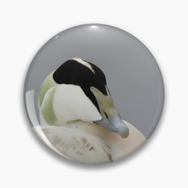 Item preview, Excellent Eider designed and sold by miradorpictures.
