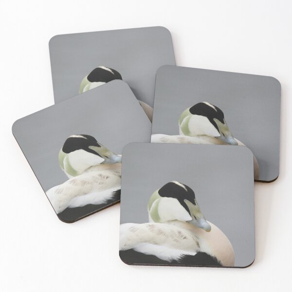 Item preview, Excellent Eider designed and sold by miradorpictures.