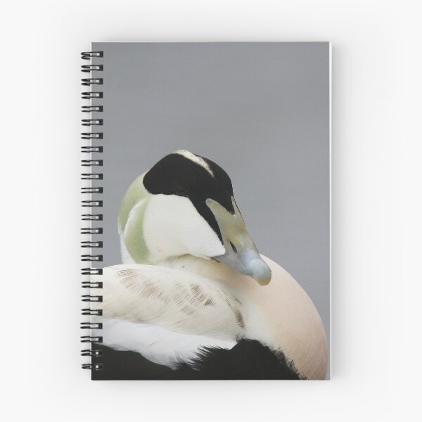 Item preview, Excellent Eider designed and sold by miradorpictures.