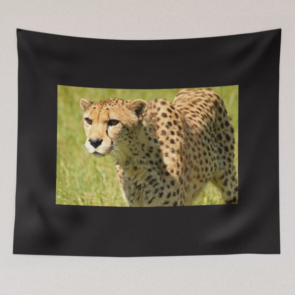 Item preview, Cheetah designed and sold by Debbie Oppermann.