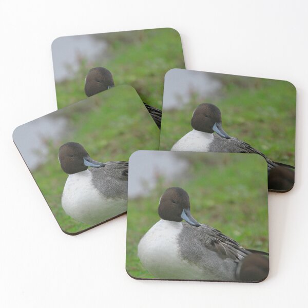 Item preview, Perfect Pintail  designed and sold by miradorpictures.