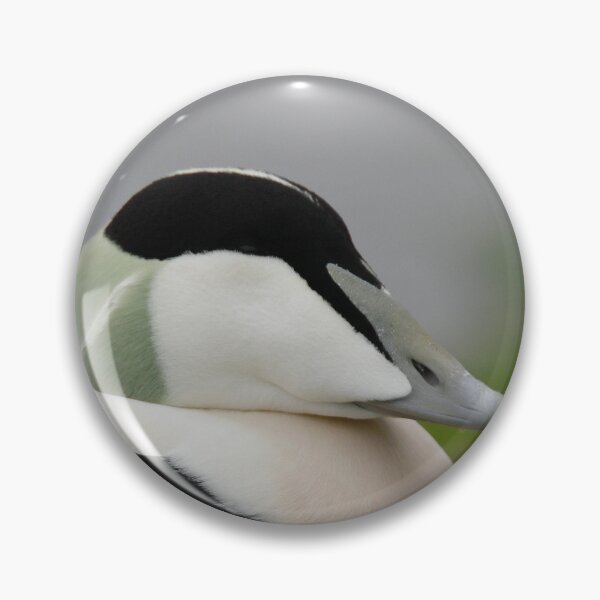 Item preview, Amazing Eider designed and sold by miradorpictures.