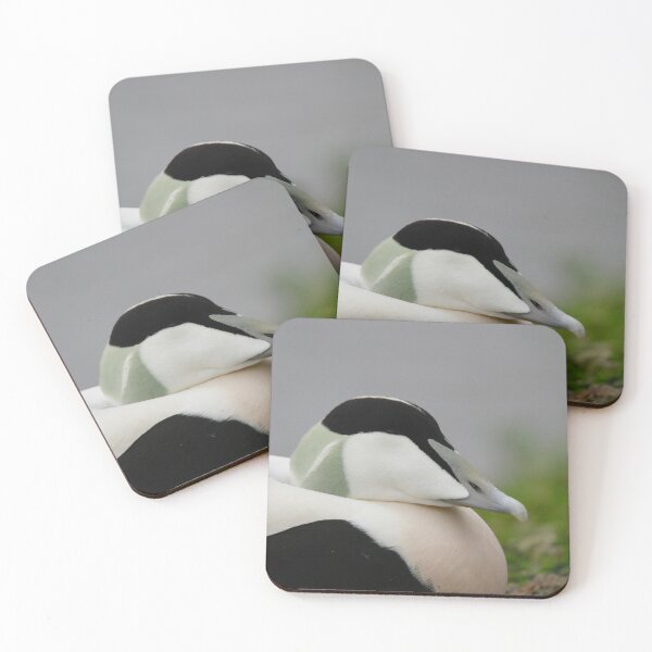 Item preview, Amazing Eider designed and sold by miradorpictures.