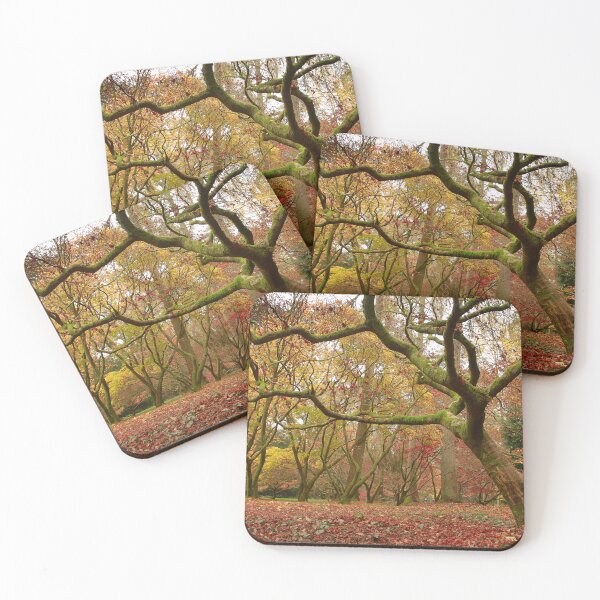 Item preview, Autumn laid bare designed and sold by miradorpictures.