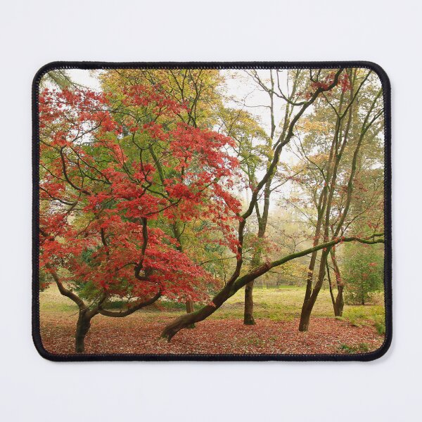 Item preview, Tremendous trees  designed and sold by miradorpictures.