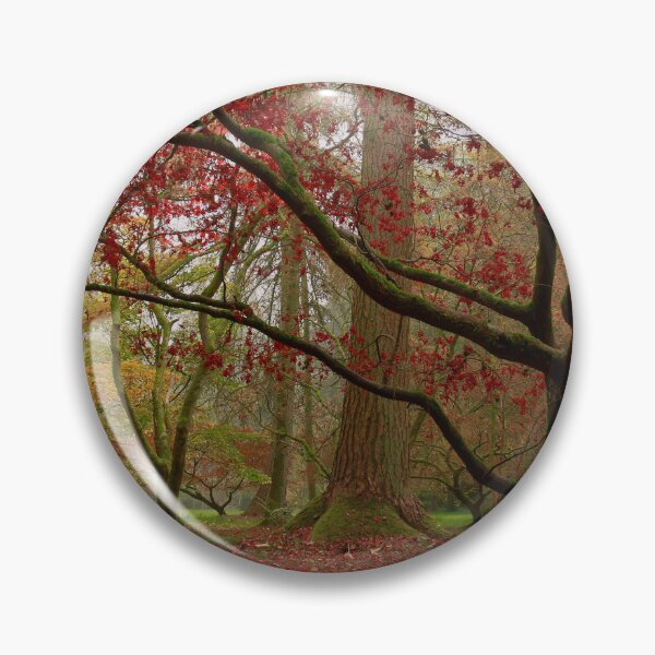 Item preview, The full spectrum of autumn  designed and sold by miradorpictures.
