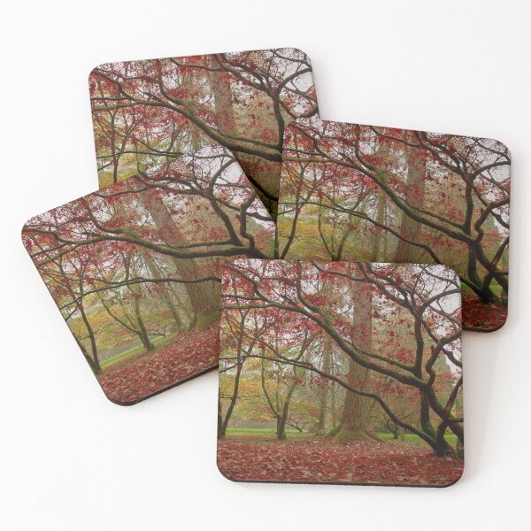 Item preview, The full spectrum of autumn  designed and sold by miradorpictures.