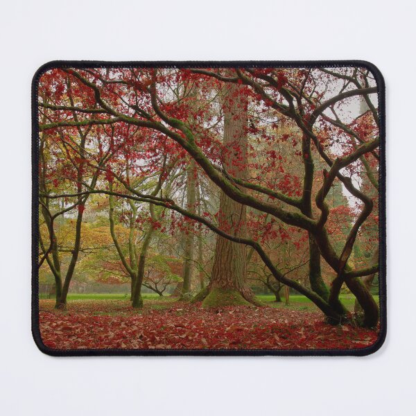 Item preview, The full spectrum of autumn designed and sold by miradorpictures.