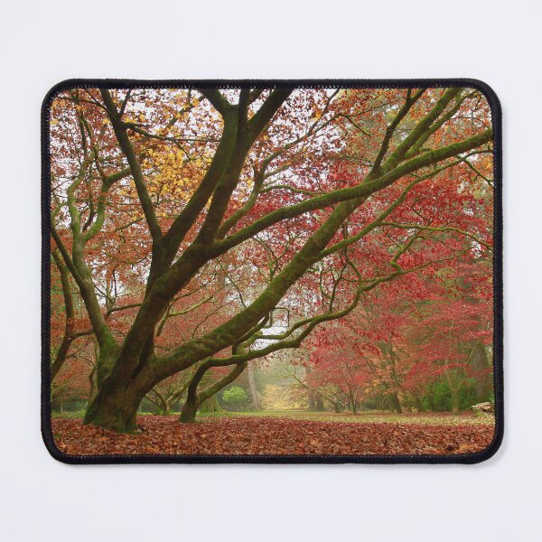 Item preview, Avenue of Autumn  designed and sold by miradorpictures.