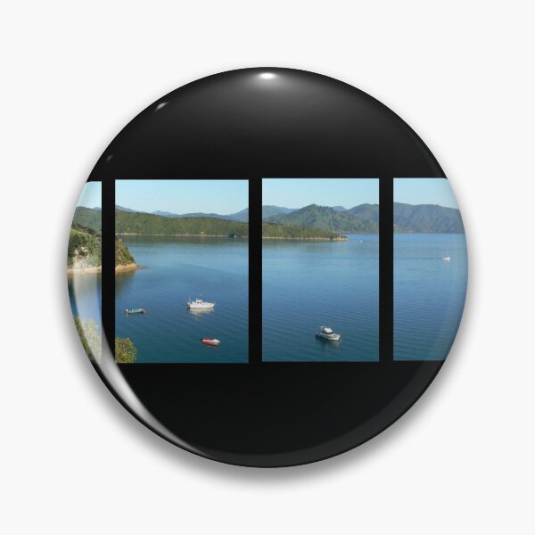 Item preview, The Pelorus Sound System designed and sold by Larry Davis.
