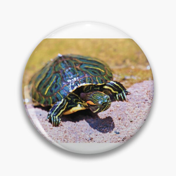 Item preview, Baby Turtle  designed and sold by KATKattalestv.