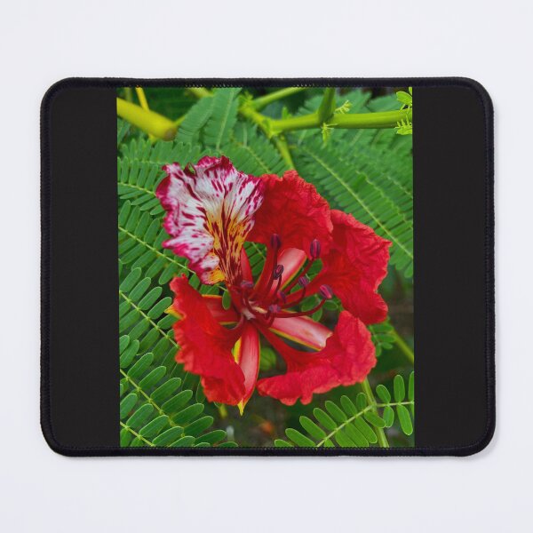 Item preview, Tropical Red Flower designed and sold by Monika's Shop.
