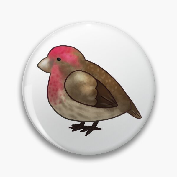 Item preview, house finch drawing designed and sold by Dexter L.