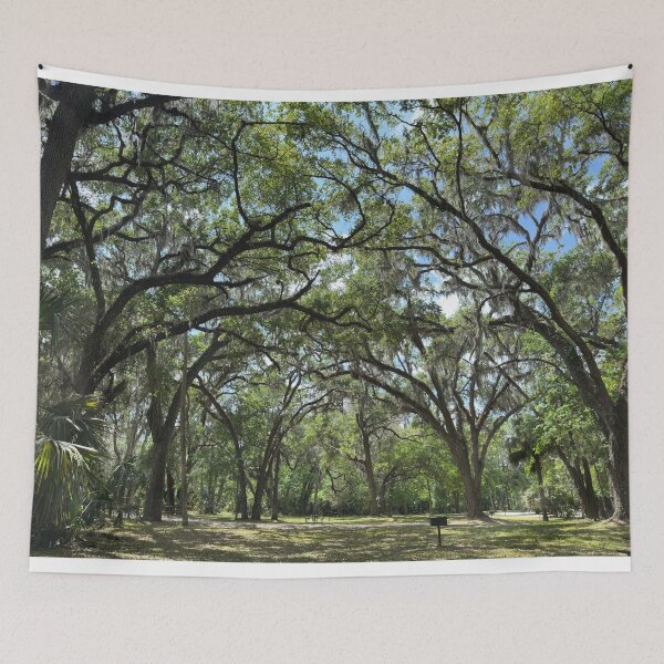 Item preview, Canopy of the Live Oaks designed and sold by Easley-Does-It.