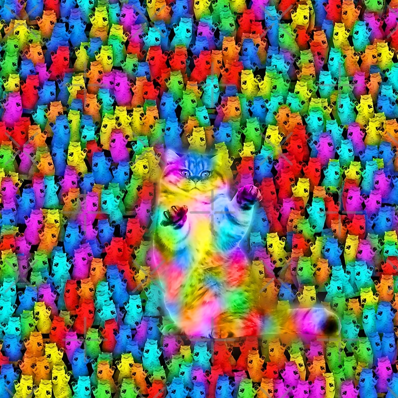 “Disco cats” by dima-v | Redbubble