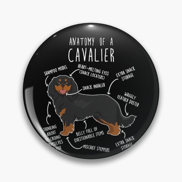 Item preview, Black and Tan Cavalier King Charles Spaniel Dog Anatomy designed and sold by Clara Hollins.