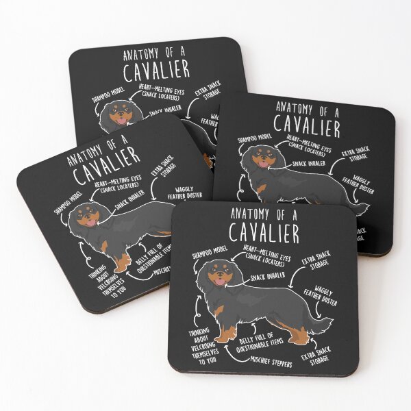 Item preview, Black and Tan Cavalier King Charles Spaniel Dog Anatomy designed and sold by Clara Hollins.