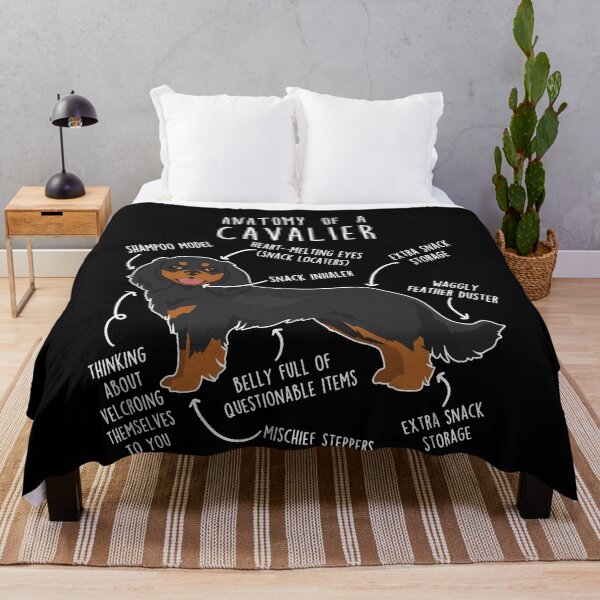 Item preview, Black and Tan Cavalier King Charles Spaniel Dog Anatomy designed and sold by Clara Hollins.