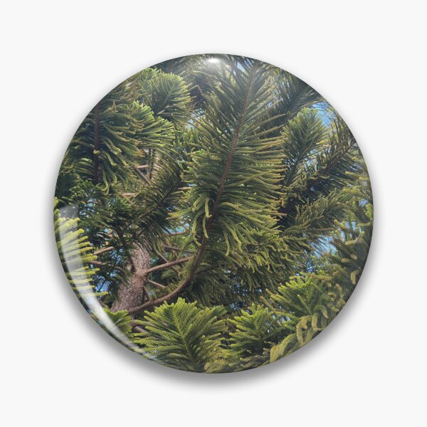 Item preview, Norfolk Island Pine designed and sold by Easley-Does-It.