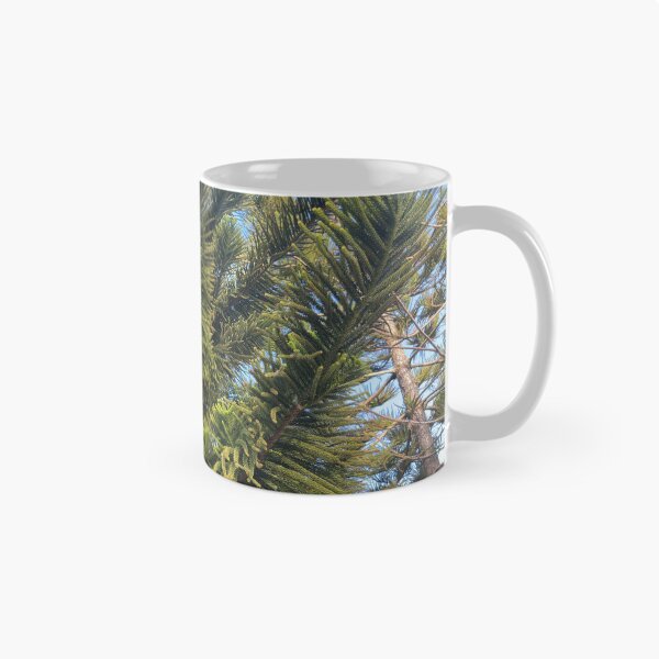 Item preview, Norfolk Island Pine designed and sold by Easley-Does-It.