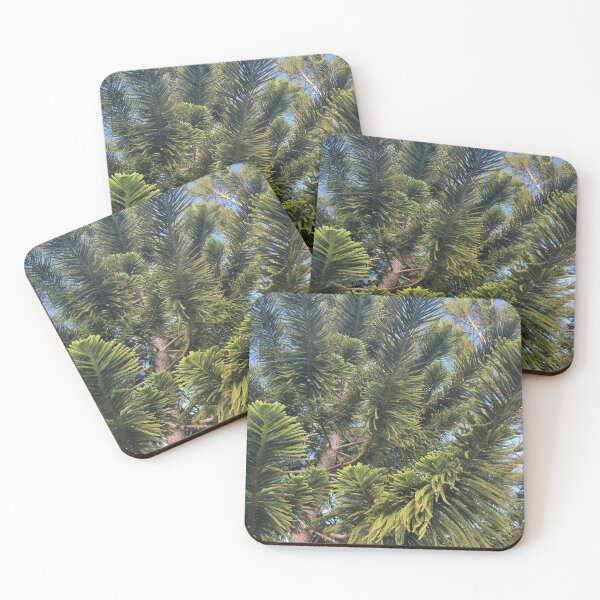 Item preview, Norfolk Island Pine designed and sold by Easley-Does-It.
