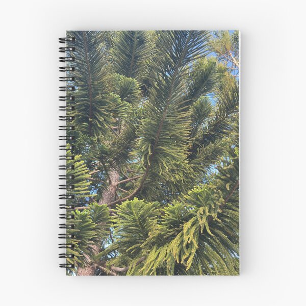 Item preview, Norfolk Island Pine designed and sold by Easley-Does-It.