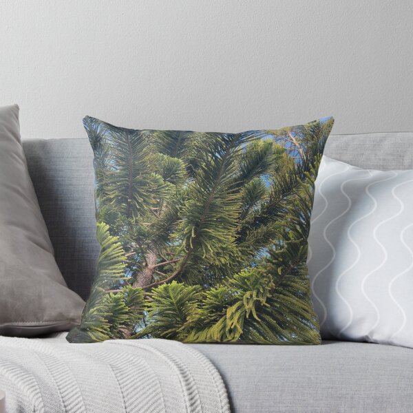 Item preview, Norfolk Island Pine designed and sold by Easley-Does-It.
