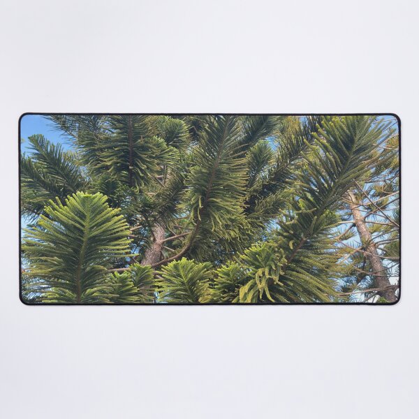 Item preview, Norfolk Island Pine designed and sold by Easley-Does-It.