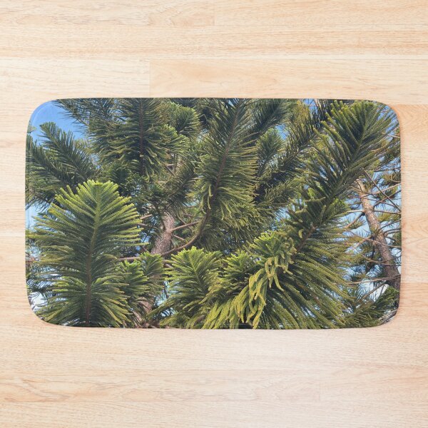 Item preview, Norfolk Island Pine designed and sold by Easley-Does-It.