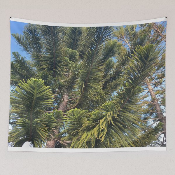 Item preview, Norfolk Island Pine designed and sold by Easley-Does-It.
