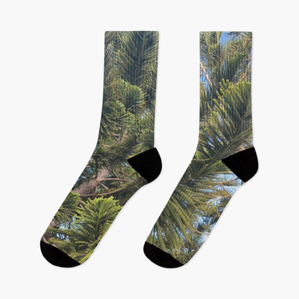 Item preview, Norfolk Island Pine designed and sold by Easley-Does-It.