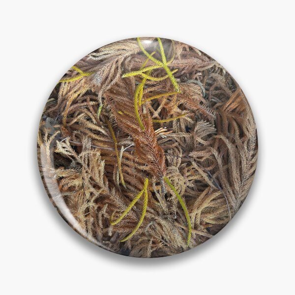 Item preview, All The Leaves Are Brown designed and sold by Easley-Does-It.